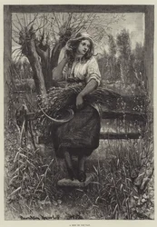 Un descanso en el camino